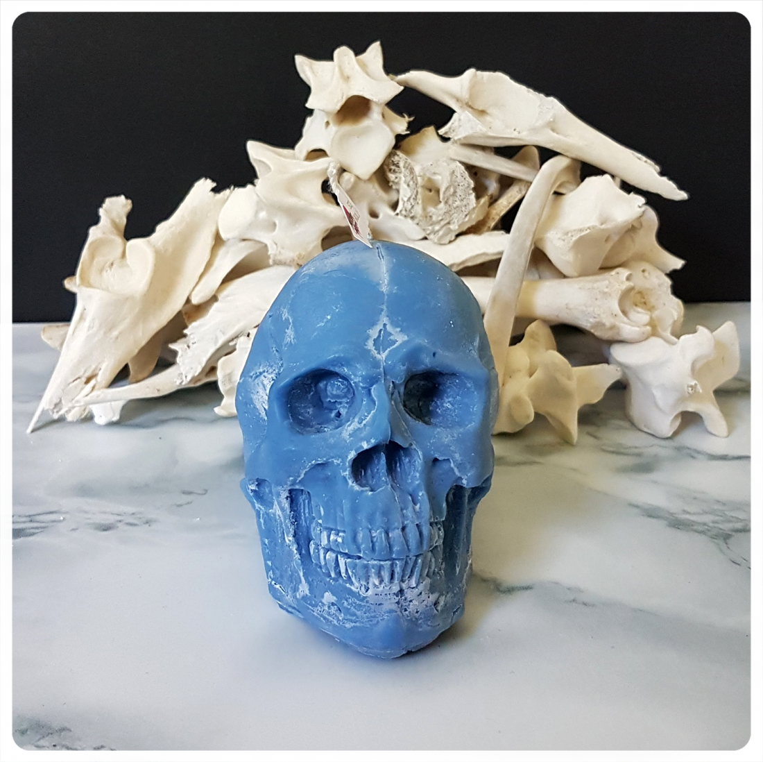Skull candle dark blue