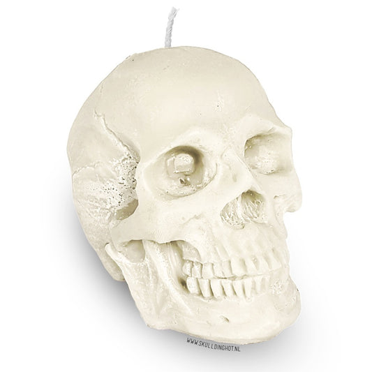 Skull candle white