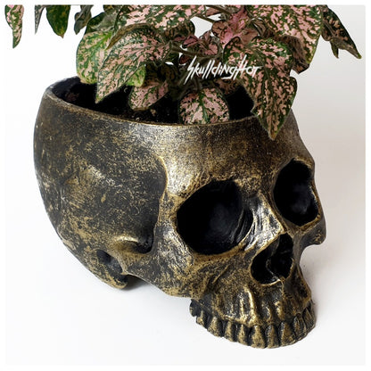 Skull flowerpot