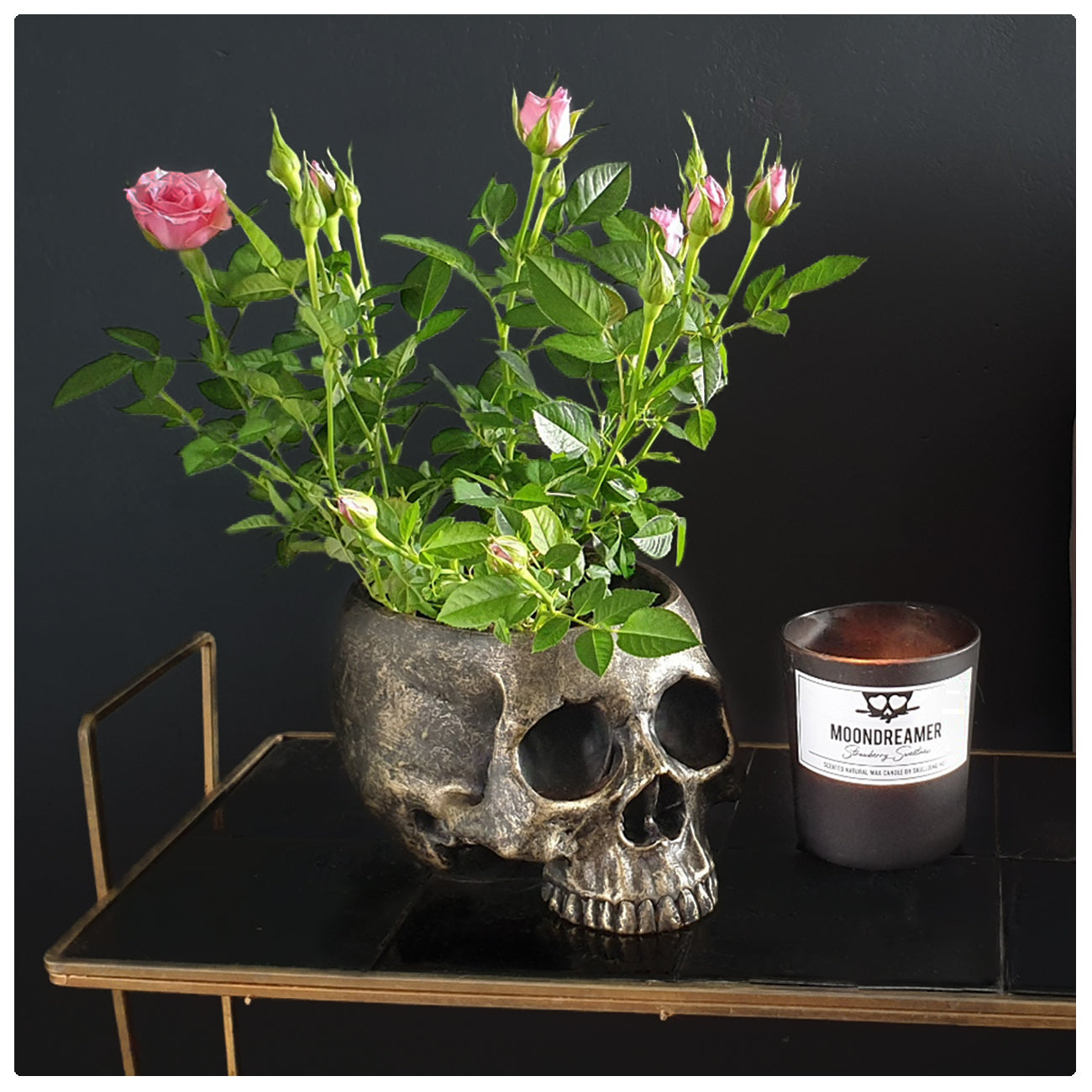Skull flowerpot