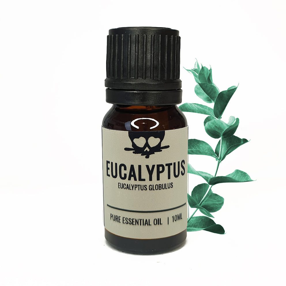 Eucalyptus - Etherische olie