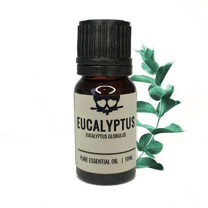 Eucalyptus - Etherische olie