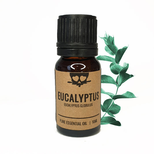Eucalyptus - Etherische olie