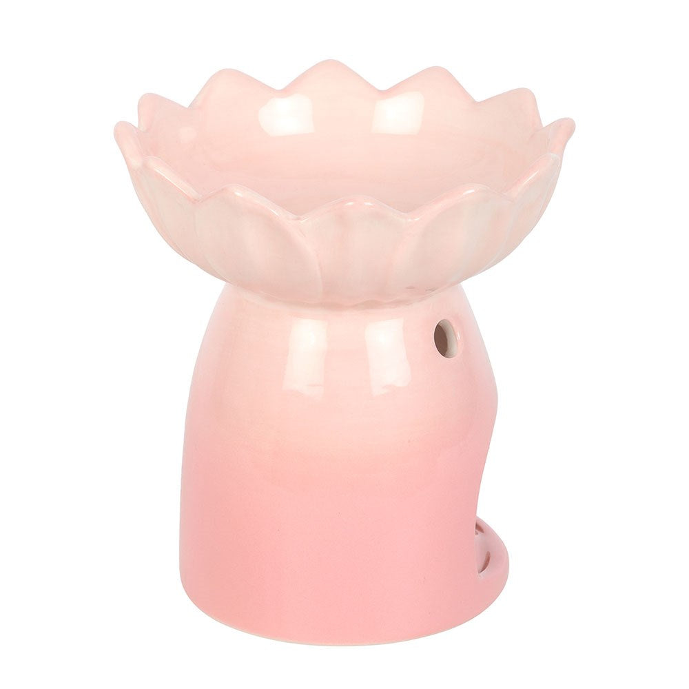 Geurbrander roze waterlelie