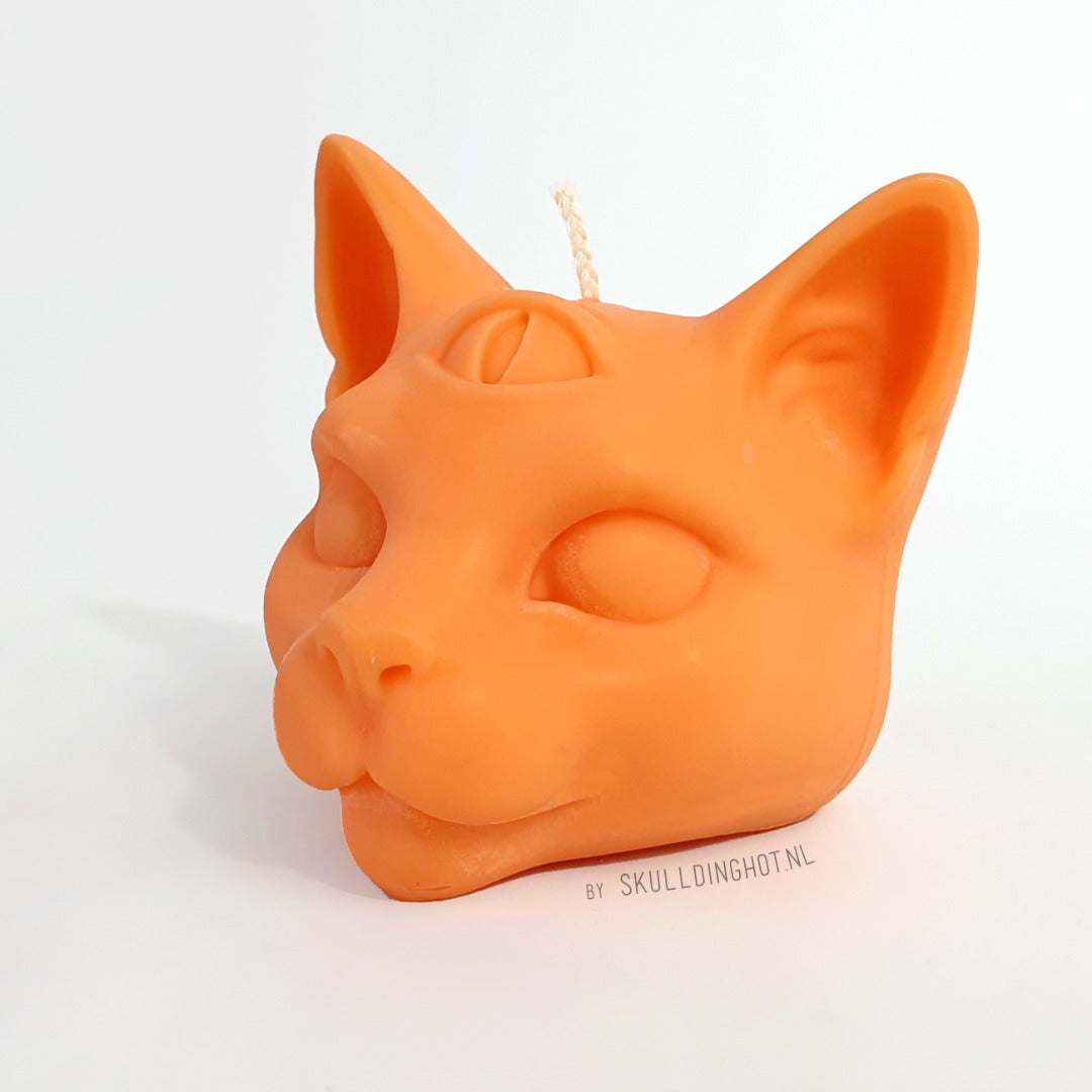 Kattenkaars oranje