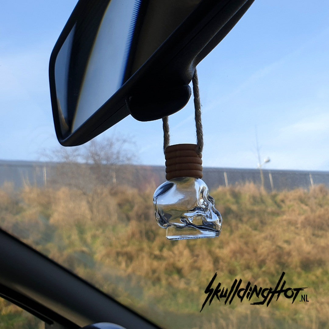 Car perfume refill